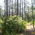 2012-May-05_HGR4X4_Richloam 183